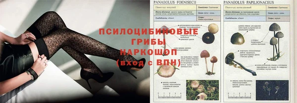 гашишное масло Зеленокумск