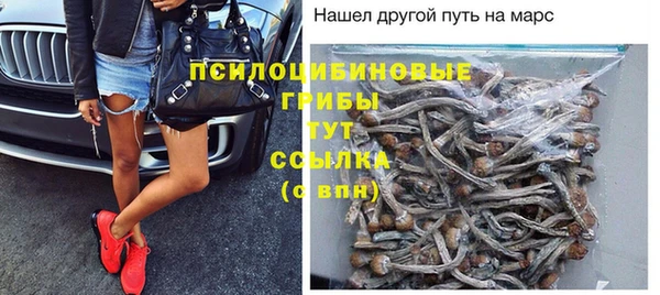 ГАЛЛЮЦИНОГЕННЫЕ ГРИБЫ Зеленодольск