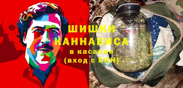 ГАЛЛЮЦИНОГЕННЫЕ ГРИБЫ Зеленодольск